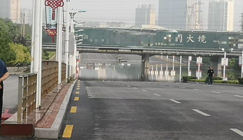 饮水思源搭建校地合作桥梁 上海交大助力长沙新兴产业发展