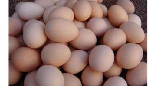 猪肉降价了 鸡蛋也跟风 北京鸡蛋价格回落超20％