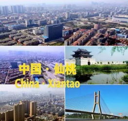 湖北宜昌高新区优化营商环境解决企业发展难题
