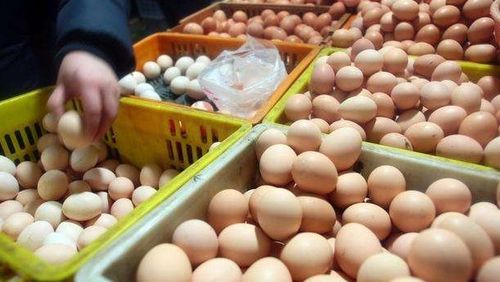 鸡蛋降价了 蛋价连续12个工作日下降