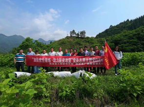 广东河源长洲村以油茶产业为主导 打赢脱贫攻坚战