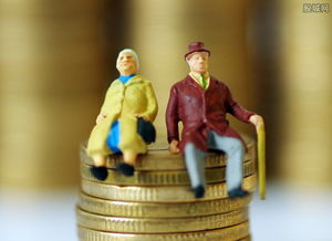 个人养老金和养老基金有什么区别？养老基金和普通基金有什么区别？