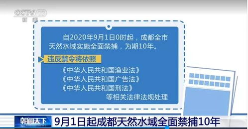 重庆出台法规决定加强广阳岛规划管理 核心区内禁止土地出让和商业开发