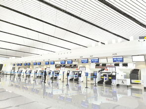 民航局：北京大兴国际机场自助值机设备覆盖率将达86%