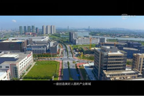 以高质量发展理念破解难题——广东顺德村级工业园改造实录