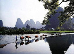 桂林旅游攻略必去景点,桂林旅游攻略必去景点免费