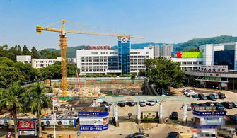 郑州版“小汤山医院”火速开建拆迁、清表预计今晚结束