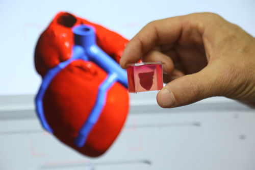 美国科研人员：用胶原蛋白成功3D打印出可正常工作心脏组织