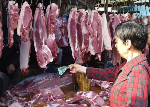 猪肉价格呈快速上涨态势