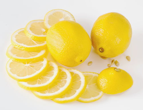 十国专家走进“中国柠檬之都” 分享绿色柠檬种植技术