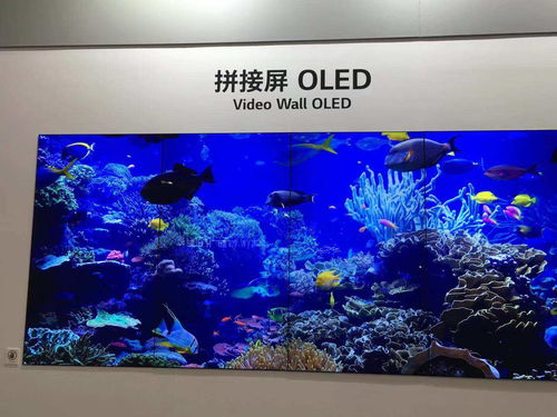 LG看好OLED电视：广州8.5代线投产后 中国将成最大消费市场