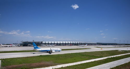 大兴机场总体运行良好 进出港旅客达18.7万人次