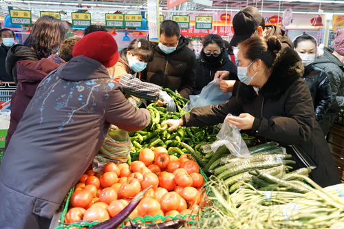 银川精品蔬菜首次列入北京首农食品集团储备菜
