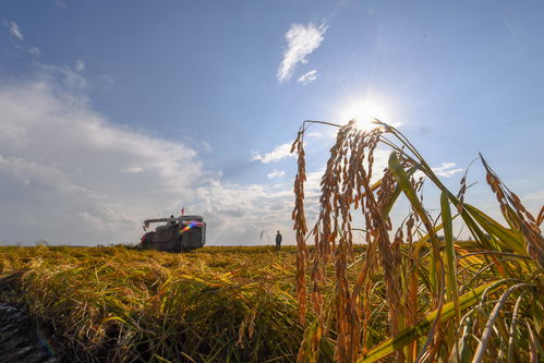 首农拜耳联手打造绿色农业示范农场 探索未来农业