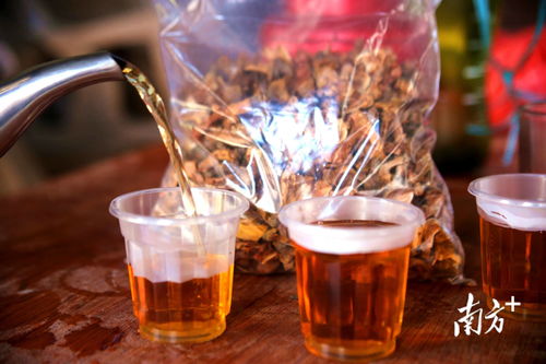 广宁“液体黄金”令人瞩目 U道山茶油带来营养美味