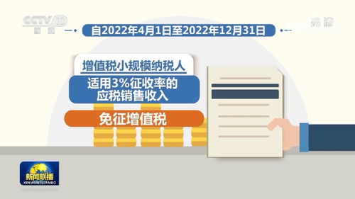 宁波梅山：留抵退税服务获赞激活企业发展活力
