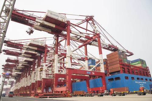 滨州港两个5万吨级泊位年通货量将达580万吨