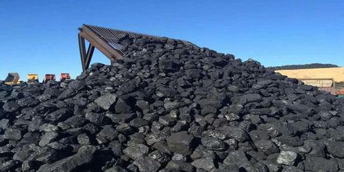 1月中旬内蒙古动力煤价格小幅上涨