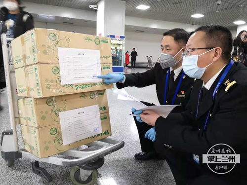 两天13批 郑州海关快速验放疫情防控物资