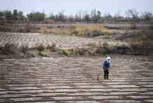 新疆全区已冬储化肥30万吨春耕备耕物资货源整体充足