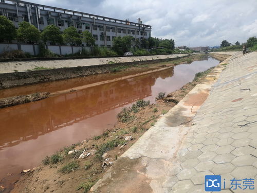 新塘镇东部片区污水处理系统 提质增效工程开工