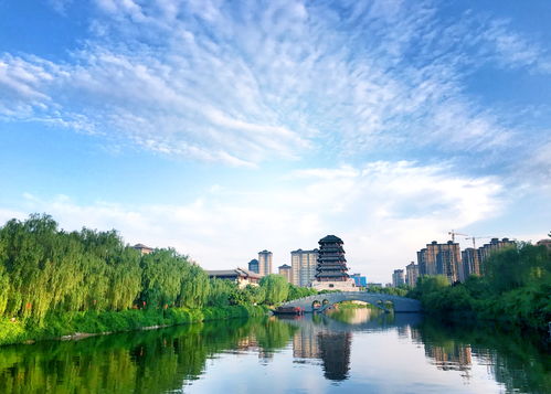 重庆市1230个公园和大批景区开放