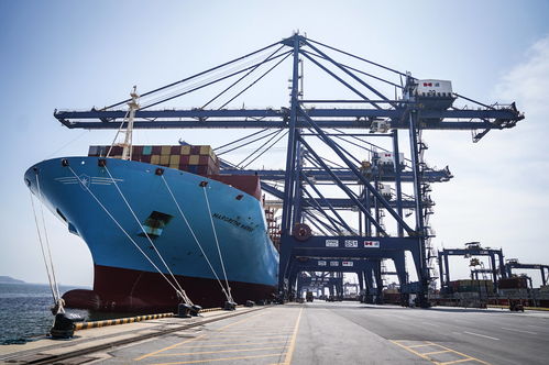 “地中海布鲁内拉”集装箱货轮装载3323冷藏箱靠泊天津港