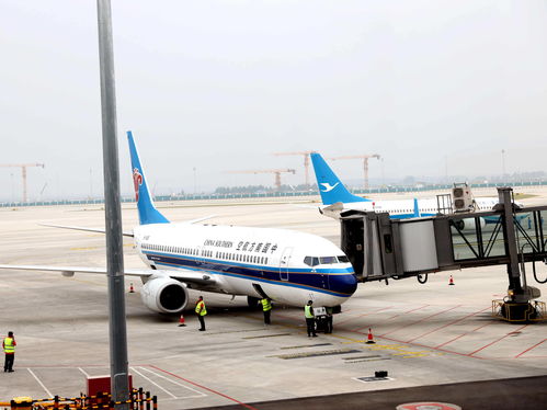 上海：允许除武汉外省际客运班线全线复运
