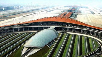 河北机场集团：枢纽作用优势突显 航空市场快速回暖