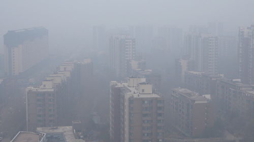 重庆2019年316天空气质量优良 长江干流重庆段总体水质为优