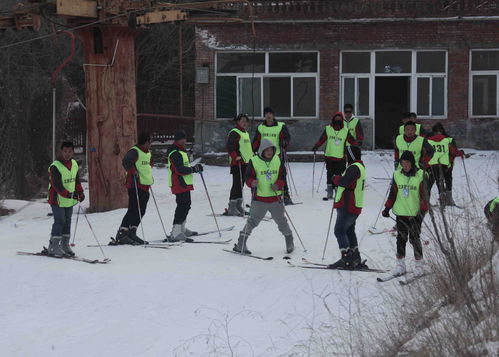 济南：将实施群众冬季运动推广普及计划 加快推动冰雪产业发展