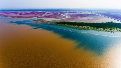 黄河三角洲生态补水创历史新高 湿地面积扩大约0.47万公顷