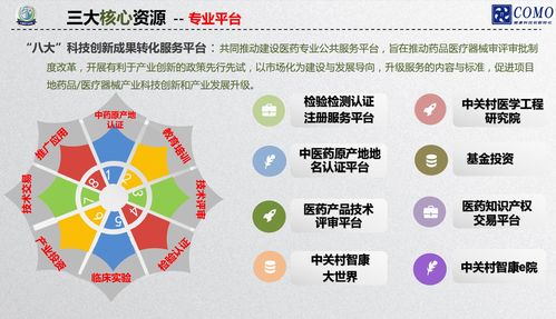 中国致力推动老龄产业发展 构建更加完善的老龄产业体系