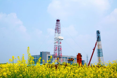 中国石油西南油气田迎战冬供 预计下月天然气年产将破300亿方
