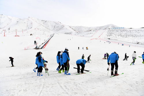 新疆吉林共推冰雪经济发展