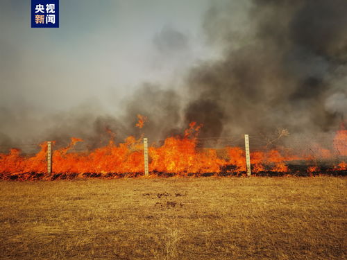 内蒙古全力阻截蒙古国草原大火入境