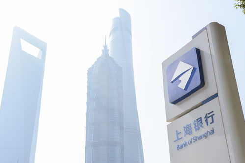 央行上海总部：对出现临时流动性问题中小银行给予支持