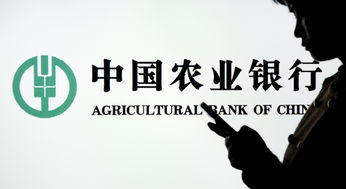 山东寿光农商行：部分高管有大额贷款 一年又一年接连续贷
