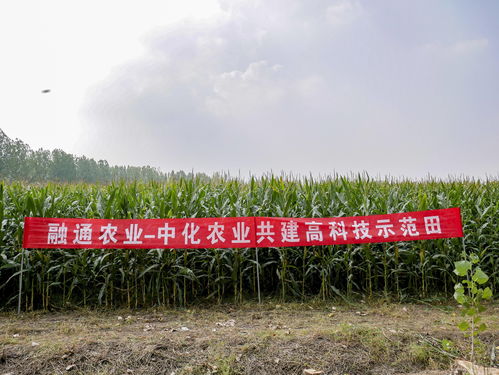 中国太保：保障春耕春种稳定，助力农险高质量发展