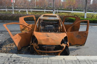 车停路边被烧了保险公司赔吗 汽车自燃保险公司赔吗